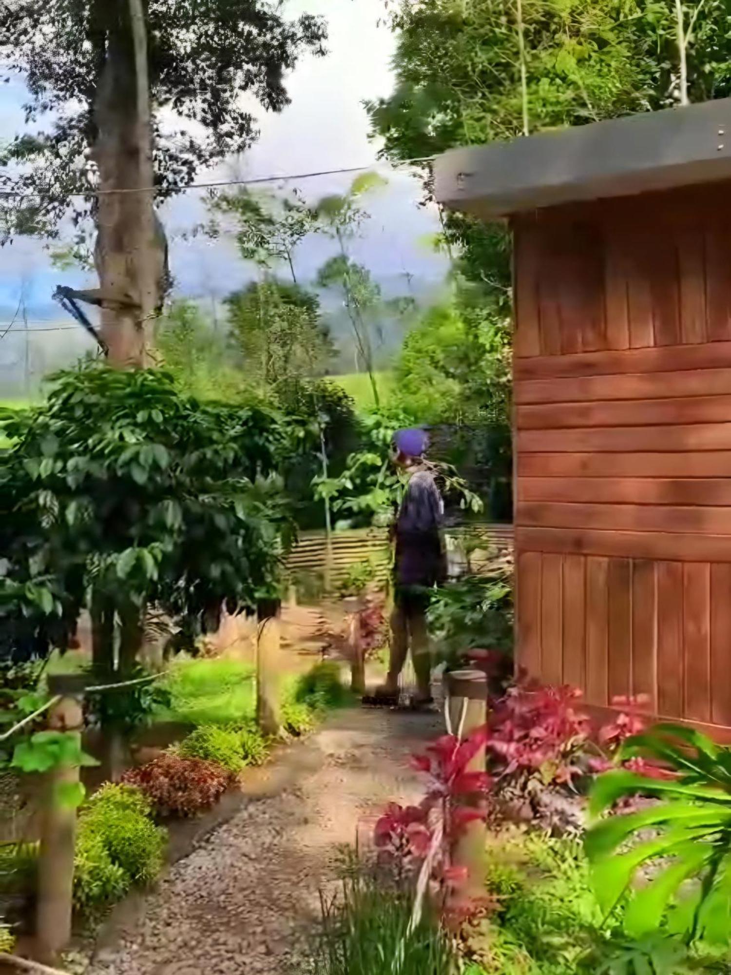 Penginapan Nuansa Riung Gunung 호텔 Pangalengan 외부 사진
